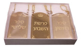 Sefer Torah Medallion Torah Identifier